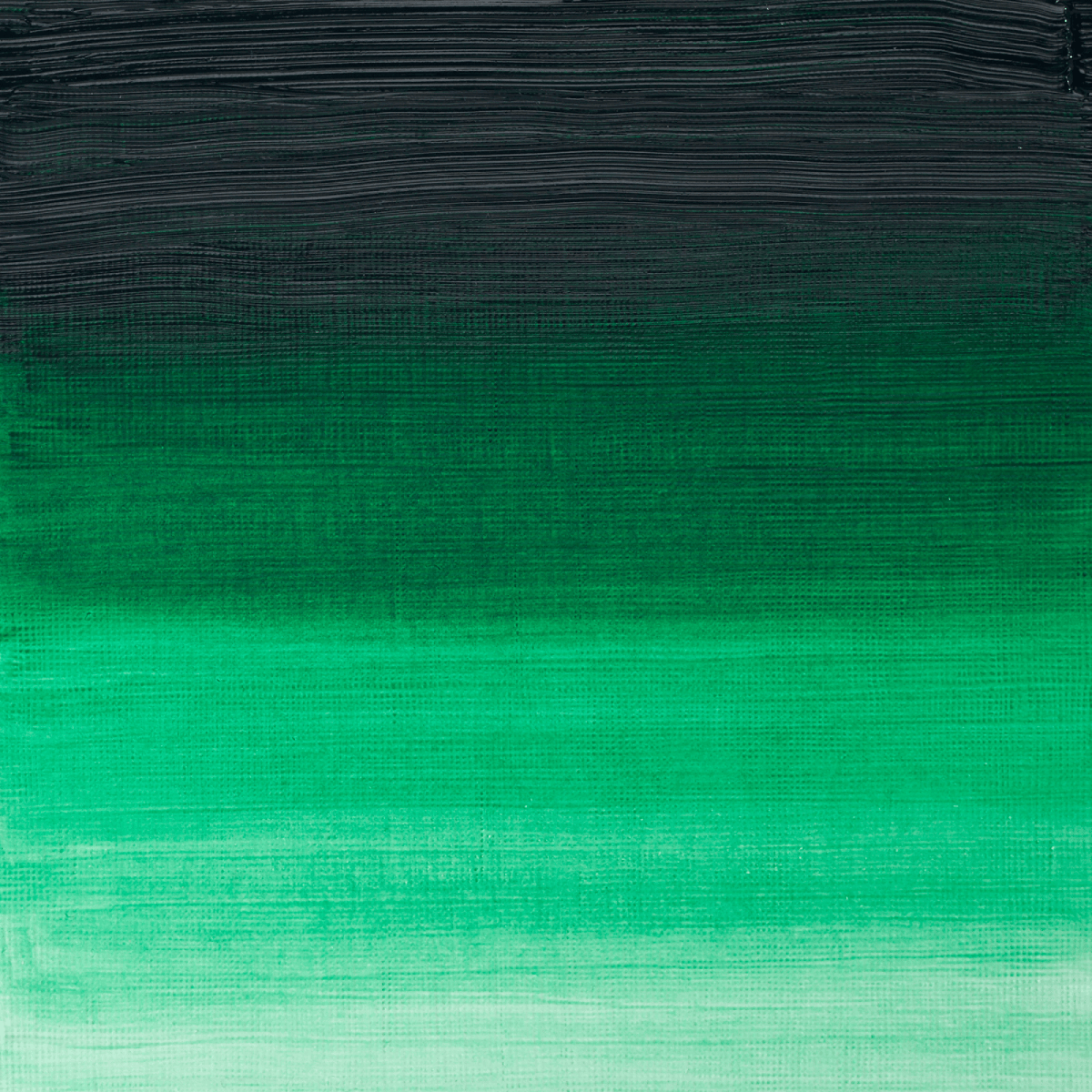 Winsor & Newton Oil Colour Winsor Green (Yellow Shade) - 721 Winsor & Newton - Artists' Oil Colour - Individual 37mL Tubes - Series 2