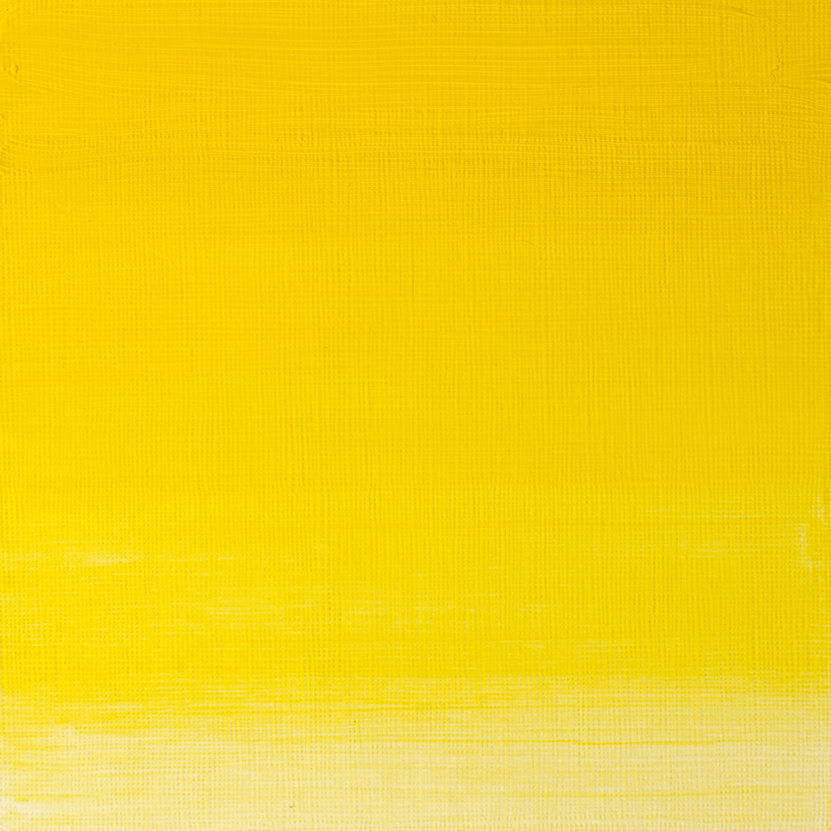 Winsor & Newton Oil Colour Winsor Yellow - 730 Winsor & Newton - Artists' Oil Colour - Individual 37mL Tubes - Series 2