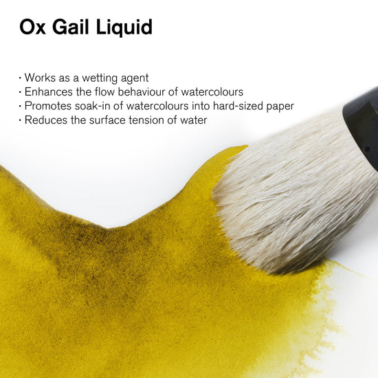 Winsor & Newton Watercolour Medium Winsor & Newton - Watercolour Medium - Ox Gall Liquid - 75mL Bottle - Item #3221766