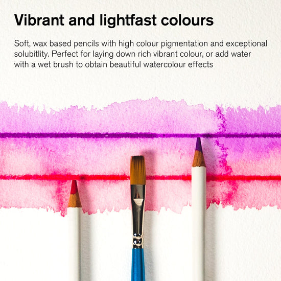Winsor & Newton Watercolour Pencil Set Winsor & Newton - Watercolour Pencils - Soft Thick-Core - 12 Colour Set - Item #0490016