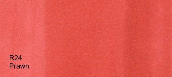 COPIC Alcohol-Based Marker PRAWN R24 Copic - Sketch Markers - P-Z