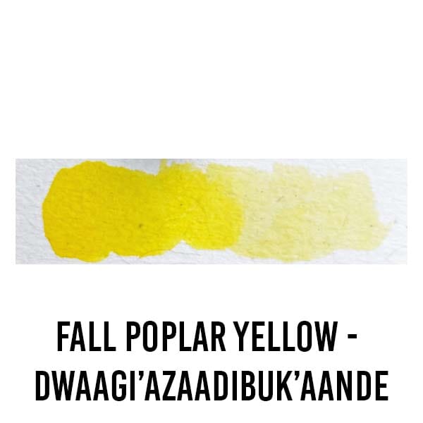 Beam Paints WATERCOLOUR HALF-PAN Fall Poplar Yellow - Dwaagi’Azaadibuk’aande Beam - Watercolour Paintstones - Individual Colours