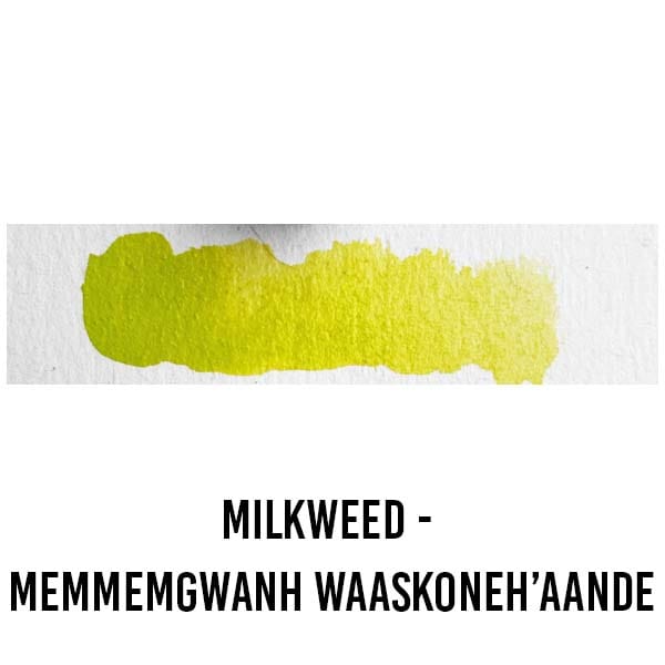 Beam Paints WATERCOLOUR HALF-PAN Milkweed - Memmemgwanh Waaskoneh’aande Beam - Watercolour Paintstones - Individual Colours