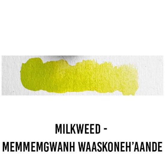 Beam Paints WATERCOLOUR HALF-PAN Milkweed - Memmemgwanh Waaskoneh’aande Beam - Watercolour Paintstones - Individual Colours