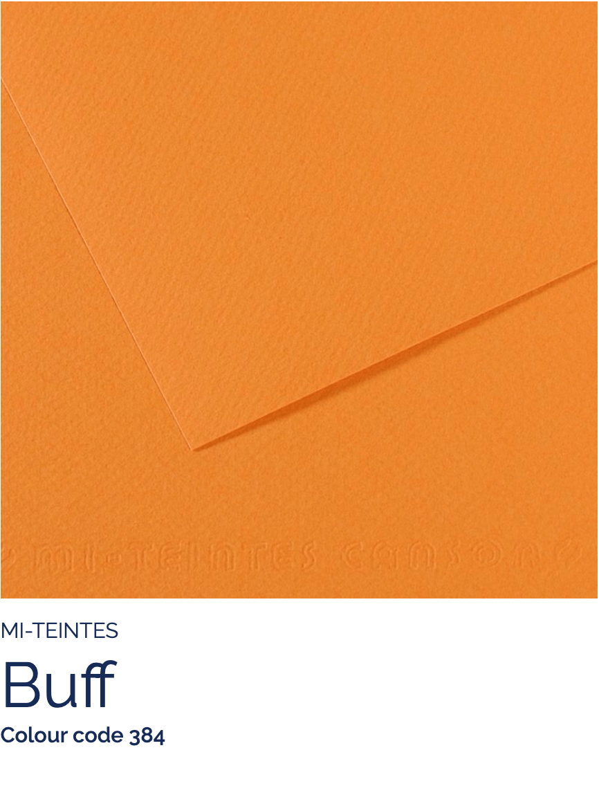 CANSON Pastel Paper BUFF 384 Canson - Mi-Teintes - Pastel Paper - 19 x 25" Sheets - (Attention: To be able to ship this item you must order a minimum of 10. Any other quantity of items ordered qualify for curbside or in-store pick up only.)