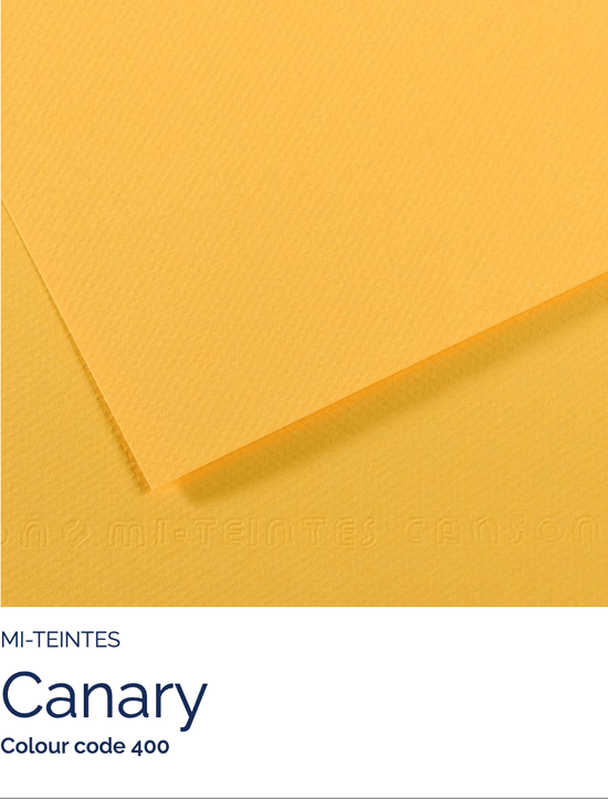CANSON Pastel Paper CANARY 400 Canson - Mi-Teintes - Pastel Paper - 19 x 25" Sheets - (Attention: To be able to ship this item you must order a minimum of 10. Any other quantity of items ordered qualify for curbside or in-store pick up only.)
