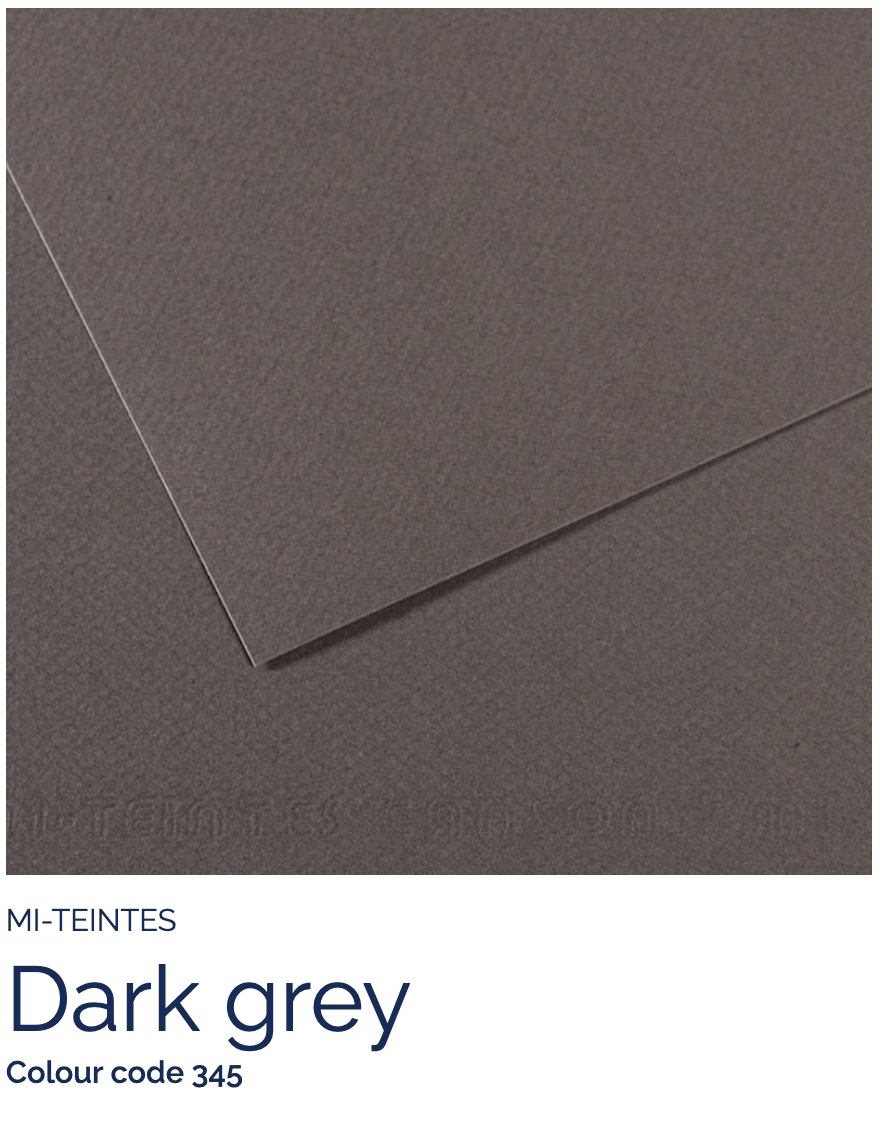 CANSON Pastel Paper DARK GRAY 345 Canson - Mi-Teintes - Pastel Paper - 19 x 25" Sheets - (Attention: To be able to ship this item you must order a minimum of 10. Any other quantity of items ordered qualify for curbside or in-store pick up only.)