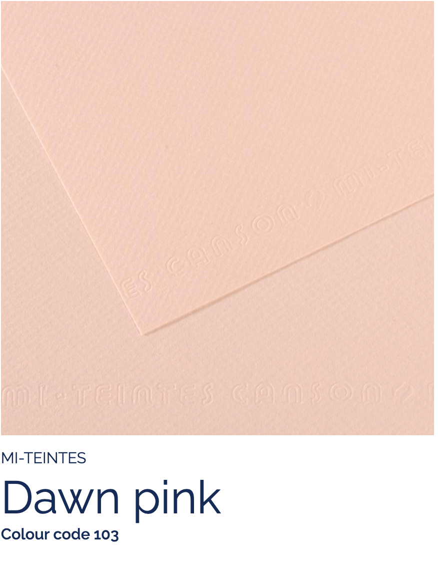 CANSON Pastel Paper DAWN PINK 103 Canson - Mi-Teintes - Pastel Paper - 19 x 25" Sheets - (Attention: To be able to ship this item you must order a minimum of 10. Any other quantity of items ordered qualify for curbside or in-store pick up only.)