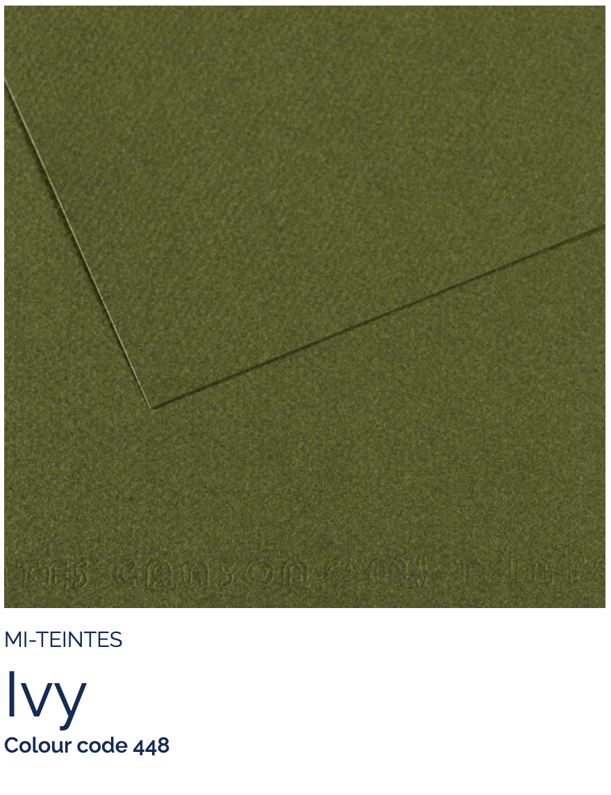 CANSON Pastel Paper IVY 448 Canson - Mi-Teintes - Pastel Paper - 19 x 25" Sheets - (Attention: To be able to ship this item you must order a minimum of 10. Any other quantity of items ordered qualify for curbside or in-store pick up only.)