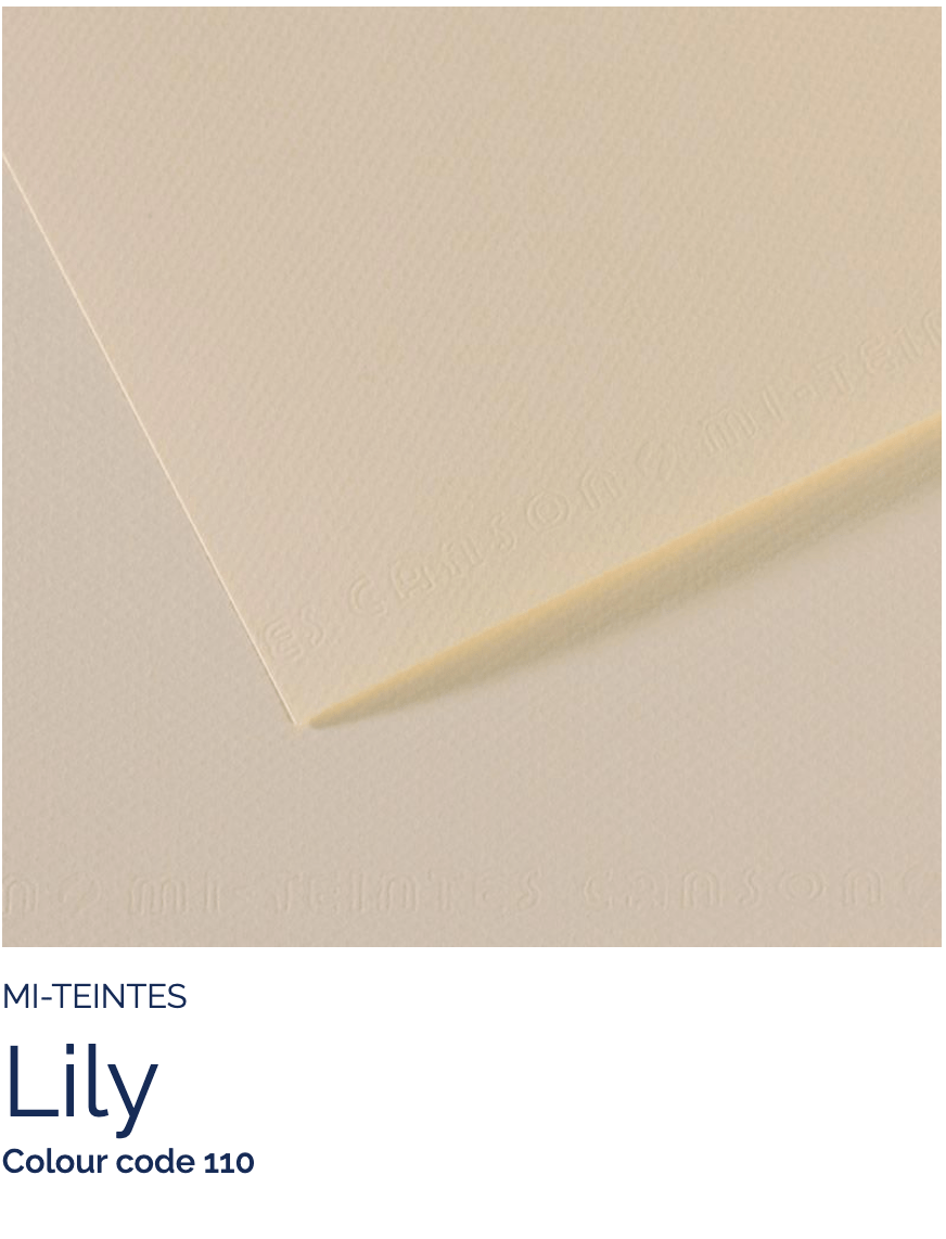 CANSON Pastel Paper LILY 110 Canson - Mi-Teintes - Pastel Paper - 19 x 25" Sheets - (Attention: To be able to ship this item you must order a minimum of 10. Any other quantity of items ordered qualify for curbside or in-store pick up only.)