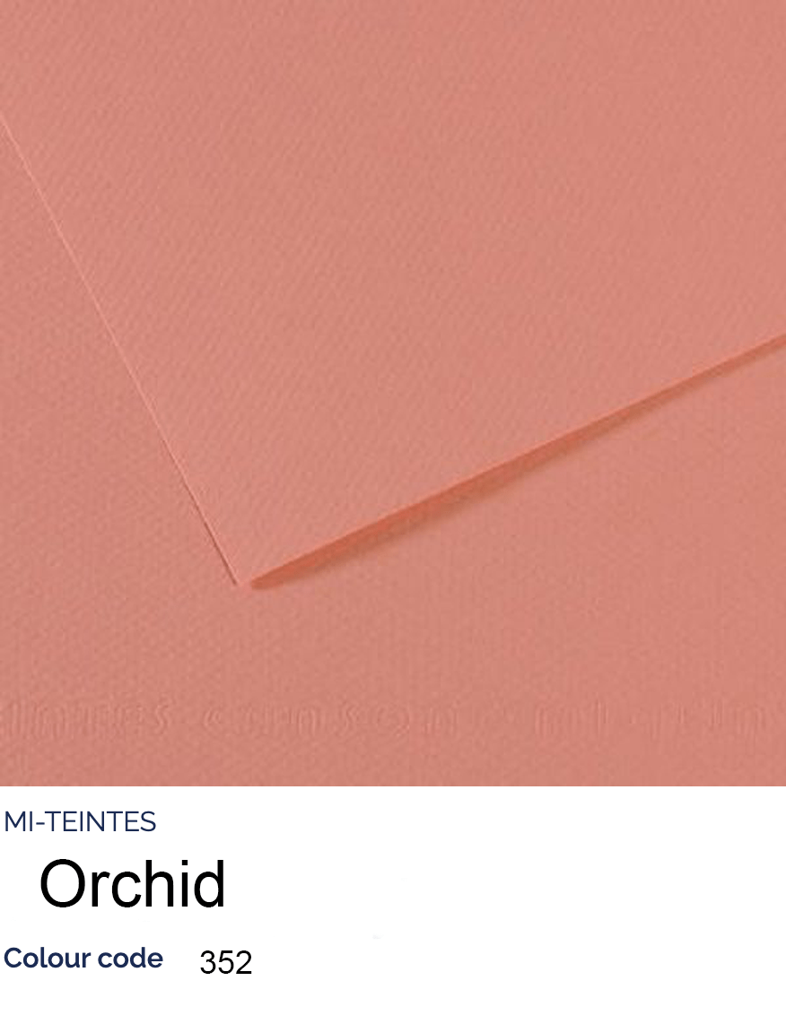 CANSON Pastel Paper ORCHID 352 Canson - Mi-Teintes - Pastel Paper - 19 x 25" Sheets - (Attention: To be able to ship this item you must order a minimum of 10. Any other quantity of items ordered qualify for curbside or in-store pick up only.)