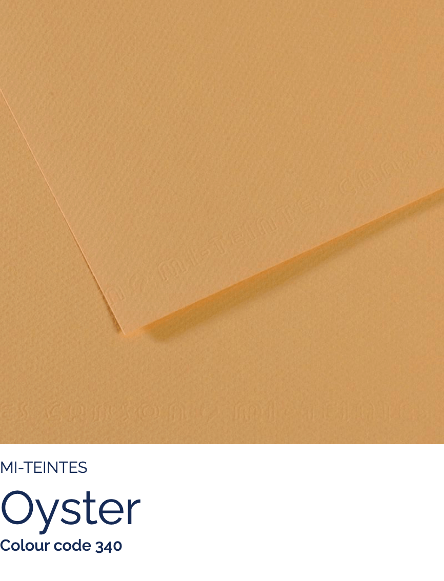 CANSON Pastel Paper OYSTER 340 Canson - Mi-Teintes - Pastel Paper - 19 x 25" Sheets - (Attention: To be able to ship this item you must order a minimum of 10. Any other quantity of items ordered qualify for curbside or in-store pick up only.)