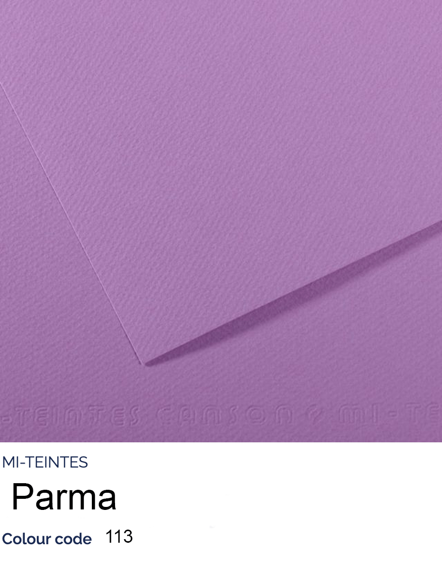 CANSON Pastel Paper PARMA 113 Canson - Mi-Teintes - Pastel Paper - 19 x 25" Sheets - (Attention: To be able to ship this item you must order a minimum of 10. Any other quantity of items ordered qualify for curbside or in-store pick up only.)
