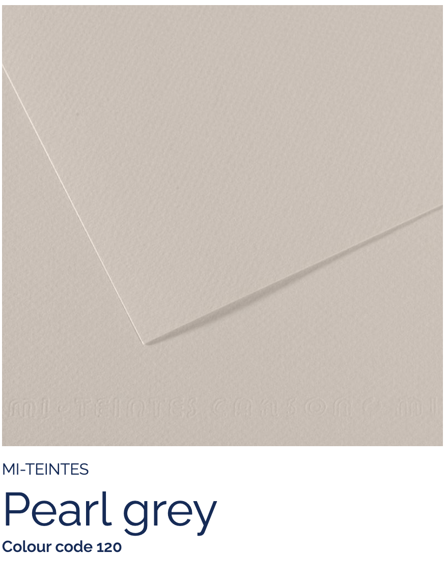 CANSON Pastel Paper PEARL GRAY 120 Canson - Mi-Teintes - Pastel Paper - 19 x 25" Sheets - (Attention: To be able to ship this item you must order a minimum of 10. Any other quantity of items ordered qualify for curbside or in-store pick up only.)