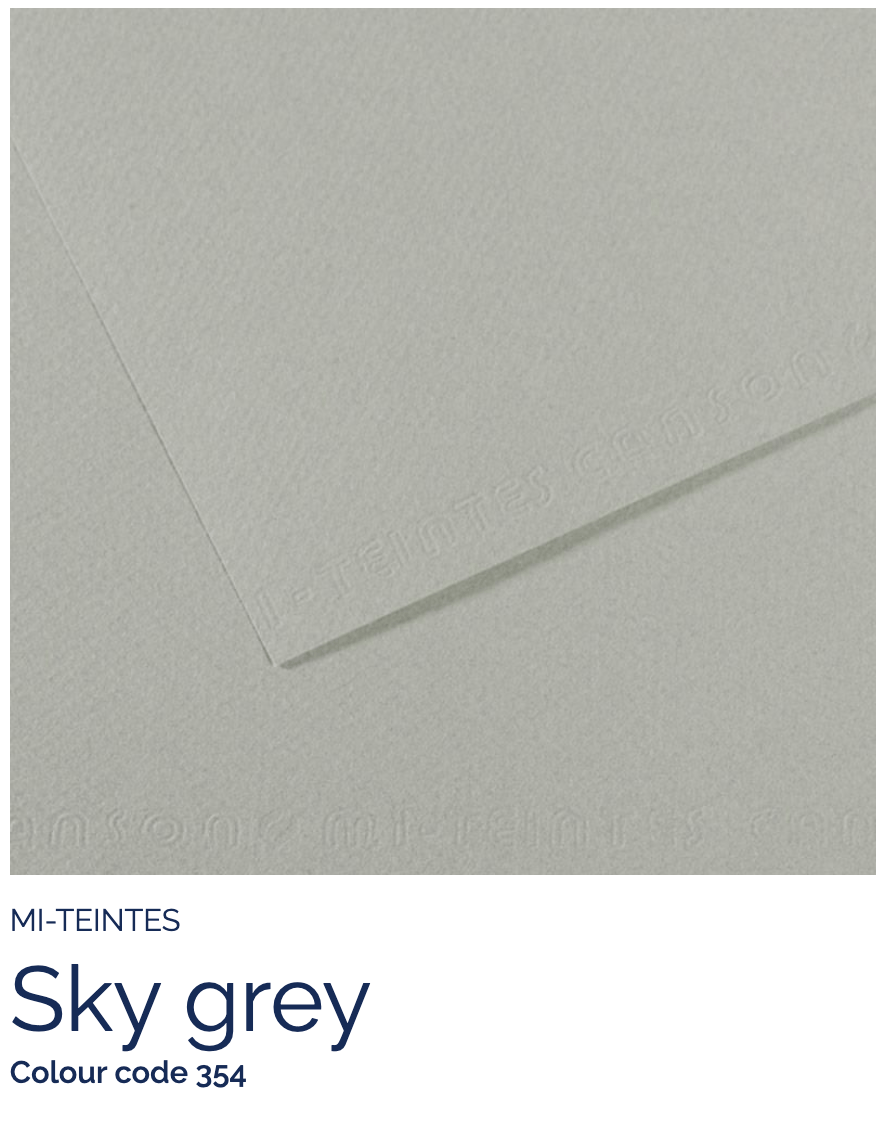 CANSON Pastel Paper SKY GREY 354 Canson - Mi-Teintes - Pastel Paper - 19 x 25" Sheets - (Attention: To be able to ship this item you must order a minimum of 10. Any other quantity of items ordered qualify for curbside or in-store pick up only.)