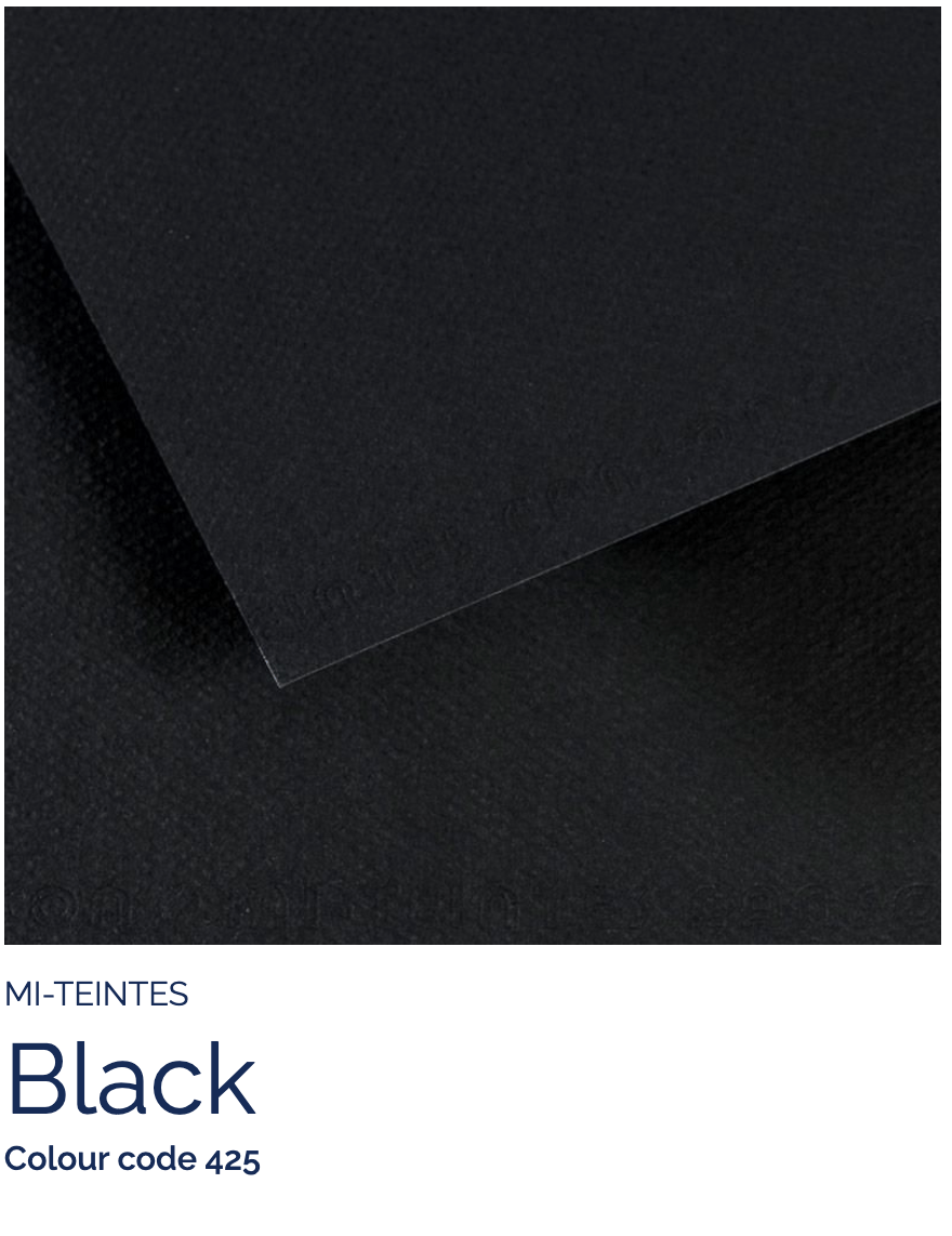 CANSON Pastel Paper STYGIAN BLACK 425 Canson - Mi-Teintes - Pastel Paper - 19 x 25" Sheets - (Attention: To be able to ship this item you must order a minimum of 10. Any other quantity of items ordered qualify for curbside or in-store pick up only.)