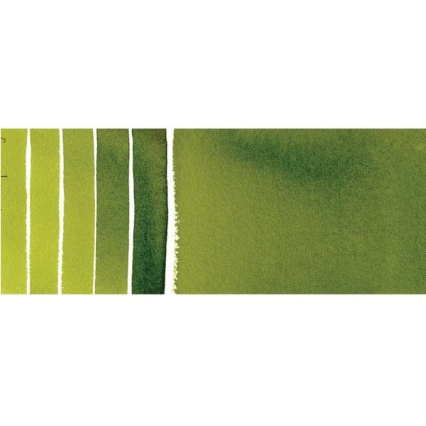 DANIEL SMITH Watercolour Tubes SAP GREEN Daniel Smith - Watercolours - 15mL Tubes - Series 2