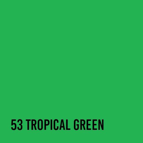 FIMO Soft 57 g 2 oz Tropical Green Nr 53