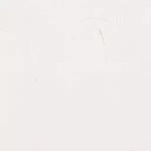 Gamblin Oil Colour RADIANT WHITE Gamblin - Artist's Oil Colour - 150mL Tubes - Series 2