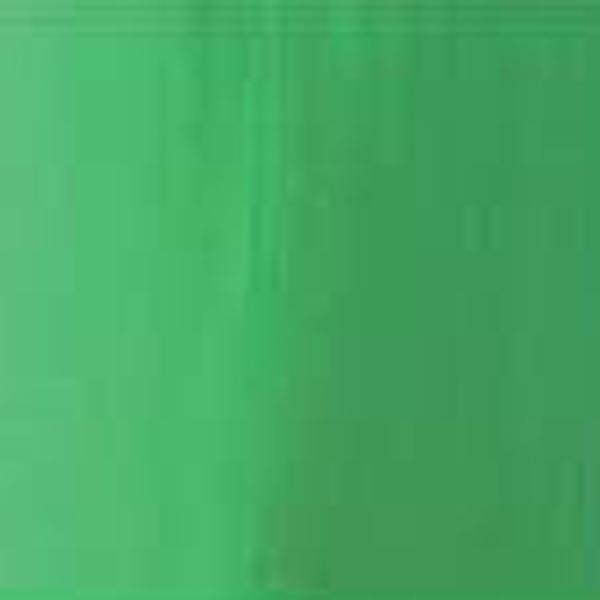 GEORGIAN OIL PAINT PERMANENT LT GREEN Rowney Georgian Oil Paint 38ml