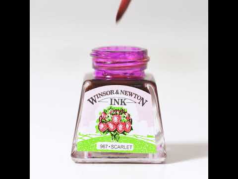 Load and play video in Gallery viewer, Winsor &amp;amp; Newton - Drawing Ink - Set of 8 Colours - 14mL Jars
