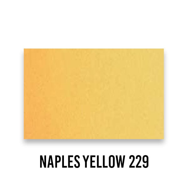 Schmincke WATERCOLOUR HALF-PAN Naples Yellow 229 Schmincke - Horadam Aquarell - Watercolour Half Pans - Series 2