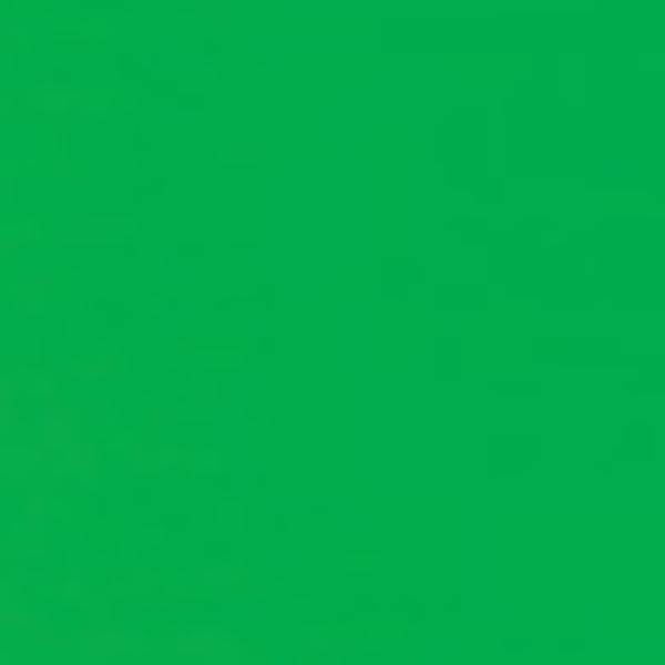 TALENS ACRYLIC PAINT REFLEX GREEN Amsterdam - Acrylic Colours - Standard Series - 250mL Tubes - Series 2