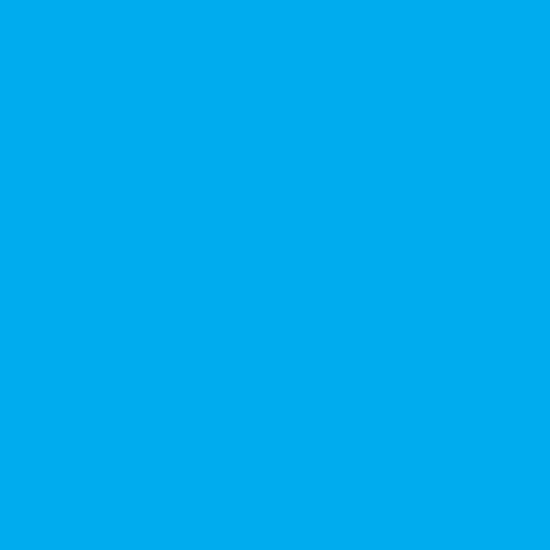 TALENS ECOLINE WATERCOLOUR SKY BLUE Talens Ecoline Watercolour 30ml