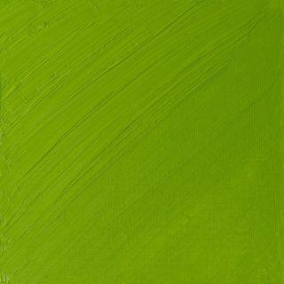 WINSOR NEWTON ARTIST OIL CADMIUM GREEN PALE Winsor Artist Oil 37ml Series 4