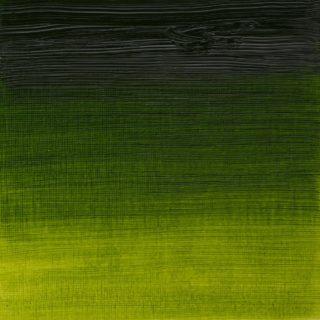 WINSOR NEWTON ARTIST OIL SAP GREEN Winsor Artist Oil 37ml Series 2