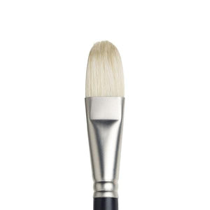 
                
                    Load image into Gallery viewer, WINSOR NEWTON Bristle Brush #12 Winsor &amp;amp; Newton - Artists&amp;#39; Oil Brushes - Filbert
                
            