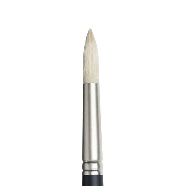 WINSOR NEWTON Bristle Brush #12 Winsor & Newton - Artists' Oil Brushes - Round