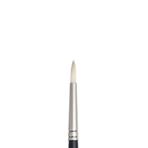 
                
                    Load image into Gallery viewer, WINSOR NEWTON Bristle Brush #2 Winsor &amp;amp; Newton - Artists&amp;#39; Oil Brushes - Round
                
            